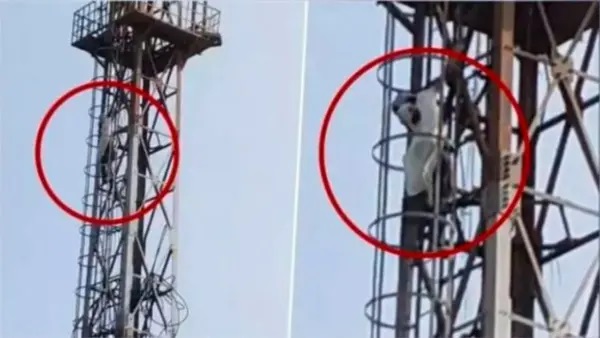 ఎలక్ట్రిసిటీ టవర్ ఎక్కి ‘ఎంపైర్ స్టేట్ బిల్డింగ్’ స్టంట్.. బిహార్లో వింత ఘటన, అడ్డుకున్న పోలీసులు!