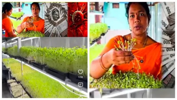 “క్యాన్సర్ తర్వాత మేము వెతికిన ఆ ఒక్క విషయం..!” తండ్రి, మామగారి మరణశయ్యపై పుట్టిన ఒక గొప్ప ప్రకృతి ఆహార విప్లవం.. టీచర్ గాయత్రి కన్నీళ్లతో ప్రారంభించిన హరిత పయనం..!!!