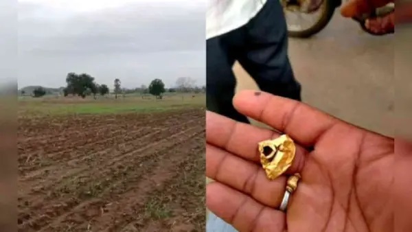 గడ్డి కోస్తుండగా మెరిసిన లోహపు ముక్క.. తవ్వగా బయటపడ్డ కోట్ల రూపాయల నిధి!
