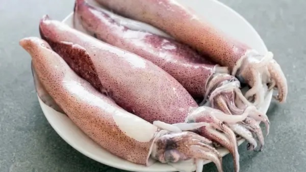 కనవాయి చేప (Squid) తింటే శరీరంలో వచ్చే మార్పులేంటి? వీటి వెనుక ఉన్న అద్భుతమైన ఆరోగ్య రహస్యాలు!