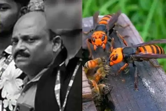 వ్యవసాయ కళాశాల ఫీల్డ్ ట్రిప్లో విషాదం: కందిరీగల దాడిలో ప్రొఫెసర్ మృతి.. ఆసుపత్రిలో 18 మంది విద్యార్థులు!