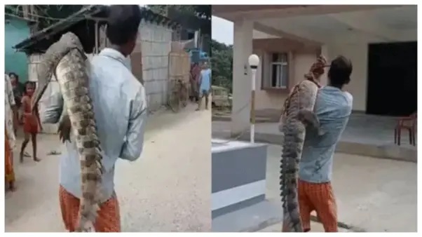 “మేకను ఎత్తుకొచ్చినట్లు మొసలిని ఎత్తుకొచ్చేశాడప్పా!”. పోలీస్ స్టేషన్‌లో జరిగిన విచిత్రం. నేటిజన్ల ఆశ్చర్యం!.. వైరల్ అవుతున్న వీడియో..!!!