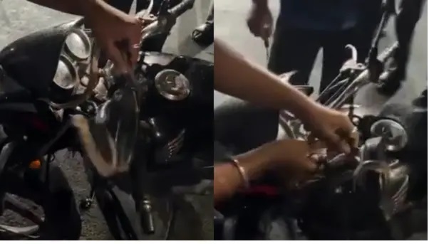 అయ్యయ్యో. హెడ్‌లైట్ తెరిచేసరికి. నివ్వెరపోయిన యజమాని. బైక్‌లో దాగి ఉన్న పాము. భయాందోళన కలిగించే వీడియో.!