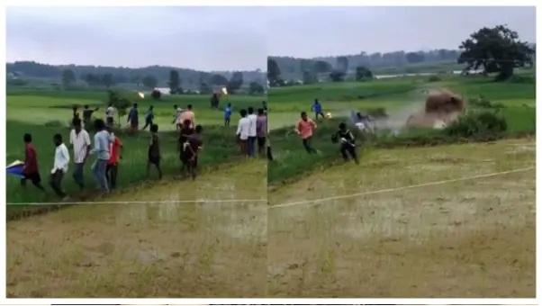 “పంటను కాపాడుకోవడానికి వెళ్లి ప్రాణాలకే ప్రమాదం!”. అడవి ఏనుగు ఆక్రోశాన్ని  చూసి అవాక్కైన నెటిజన్లు.!!!