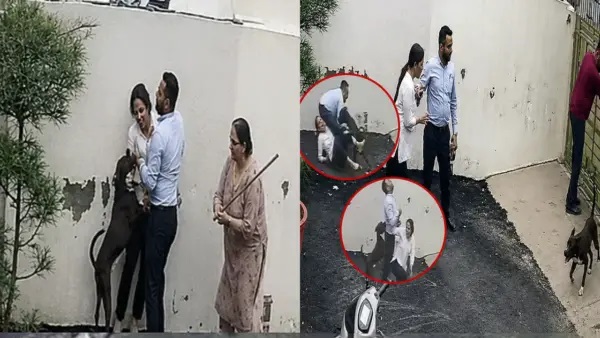అయ్యో దేవుడా.. అద్దె ఇల్లు వెతుక్కుంటూ వెళ్లిన దంపతులు. విచక్షణారహితంగా దాడి చేసిన పిట్బుల్ కుక్క. గుండెను పిండేసే సీసీటీవీ (CCTV) దృశ్యం.!!