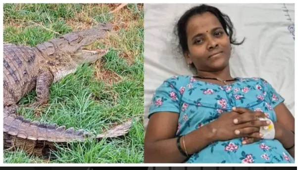 “చేతుల్లో ఉన్న బలమంతా కూడదీసుకుని లాగాను!” – 10 ఏళ్ల చిన్నారి చూపిన ధైర్యాన్ని చూసి నివ్వెరపోయిన అటవీశాఖ అధికారులు!!!