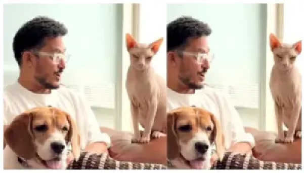“అబ్బో.. పిల్లి అరుపులు, కుక్క మొరుగుడు వెనుక ఇంత కథ ఉందా బాబోయ్..?” నెట్టింట దుమ్మురేపుతున్న సరికొత్త ఏఐ పరికరం..!!!