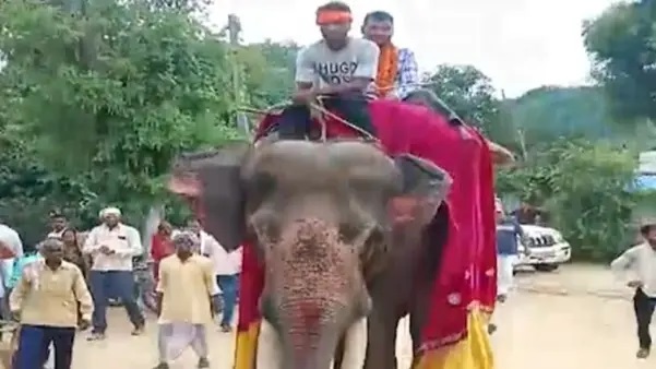 ఎన్నో ఏళ్ల శ్రమ ఫలించింది..! నా కొడుకు సాధించాడు.. ప్రభుత్వ అధికారిగా ఎంపికైన కొడుకును ఏనుగుపై ఊరేగించిన తండ్రి.. భావోద్వేగ సంఘటన..!