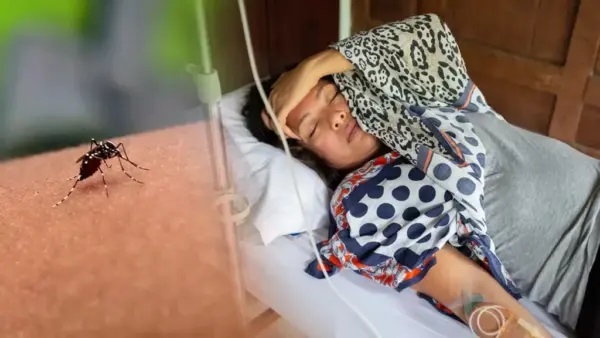 డెంగ్యూ వస్తే వాంతులు, తలనొప్పి రావడం సాధారణమేనా..? ఎప్పుడు ఇది ప్రమాదకర సంకేతంగా మారుతుంది..? వైద్యులు చేస్తున్న హెచ్చరికలివే.!