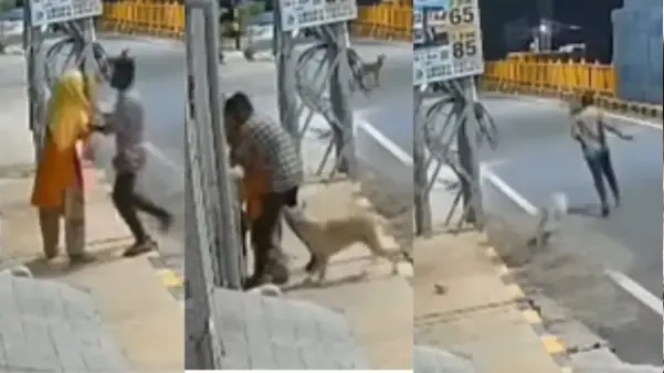 “కెమెరాలో చిక్కిన అత్యంత దారుణ దృశ్యం!”: అర్ధరాత్రి వేళ మానసిక వికలాంగురాలిపై లైంగిక దాడి యత్నం.. కాపాడిన వీధి కుక్క.. ఒళ్లు గగుర్పొడిచే వీడియో వైరల్..!!!