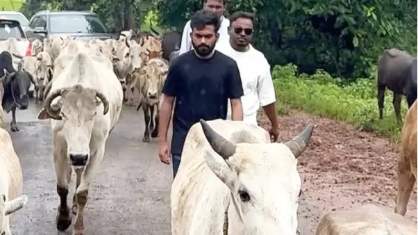 30 మంది చిన్నారుల మృతి.. ఇంకా కొనసాగుతున్న విషాదం! ఆసుపత్రులన్నీ పిల్లలతో కిటకిట.. చేతిపంపుల్లో నీళ్లకు బదులు పసుపు రంగు ద్రవం?.. బాలాఘాట్లో పర్యటించిన నేత.. తీవ్ర కలకలం.!!!