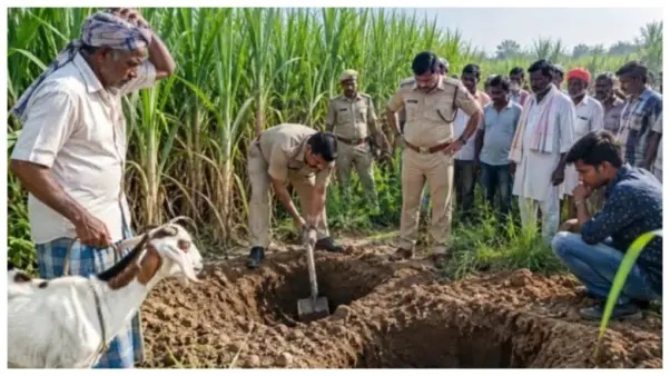 “అయ్యో దేవుడా.. అటువైపు వెళ్లాలంటేనే భయంగా ఉంది!”.. చెరకు తోటలో రెండు గుంతలు.. గ్రామంలో తీవ్ర కలకలం!