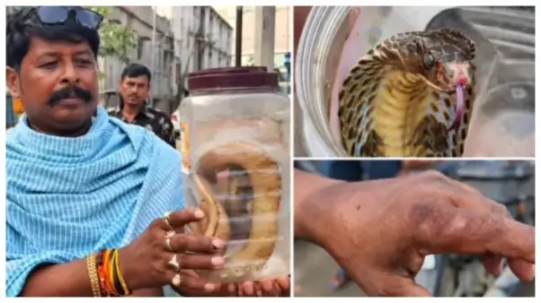 “డాక్టర్ గారూ.. నన్ను ఏ పాము కాటేసిందో చూసి ముందుగా ఇంజెక్షన్ ఇవ్వండి!” – ఆసుపత్రిలో పామును చూపిస్తూ వైద్యులను భయాందోళనకు గురిచేసిన యువకుడు..!!!