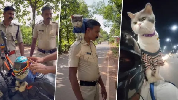 అది కూడా ఒక ప్రాణమే కదా! “హెల్మెట్ ముఖ్యం బిగిలు!” – పెంపుడు పిల్లి కోసం సొంతంగా చిన్న హెల్మెట్ తయారుచేసిన యజమాని; నెటిజన్ల మనసు దోచుకుంటున్న ప్రేమపూర్వక వీడియో!