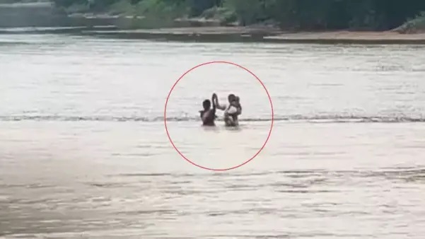 ఈ టీచర్ల ప్రయాణం గురించి వింటేనే గుండె తరుక్కుపోతోంది..! చేతిలో చంటిబిడ్డ. ముందు పారుతున్న నది. రోజూ బడికి ఇలాగే వెళ్తున్నారు.. 3 కిలోమీటర్ల రాళ్లూ రప్పల దారి. దాన్ని దాటి నదిని కూడా దాటాలి.. వర్షాకాలంలో కూడా పిల్లల కోసం ఆగకుండా వెళ్తున్న ఈ ఉపాధ్యాయులు..!!!