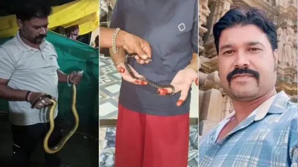 “పామును పట్టుకోవడానికి వెళ్లిన వ్యక్తినే కాటేసిన పాము.! కరిచిన పామును ఇంటికి తెచ్చి పిల్లలకు కూడా చూపించిన విషాదం. చివరికి జాలిపడేలా ప్రాణాలు వదిలిన స్నేక్ క్యాచర్.!!!”