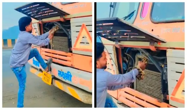 “ఏయ్ ఏంటబ్బా జరుగుతోంది ఇక్కడ! ఈయనకి అసలు భయమే లేదా..!” లారీ ఇంజిన్‌లో చుట్టుకుని పడుకున్న కొండచిలువ.. తల పట్టుకుని లాగేసిన డ్రైవర్.. వీడియో చూసి షాకైన నెటిజన్లు..!!