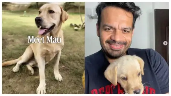 “పవర్లో ఉన్నవారిని ఎదిరించి మాట్లాడటం అంత సులభం కాదు!” – నిజాన్ని బయటపెట్టడం ఆలస్యమైనందుకు క్షమాపణలు చెప్పిన మాజీ ఉద్యోగి..!!!