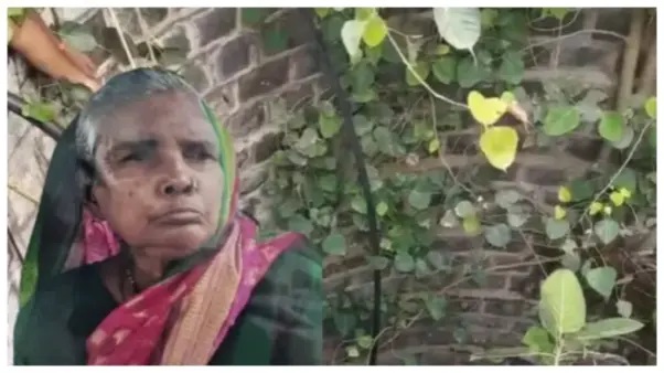 “ఆ చీకట్లో పాముల మధ్య ఏమాత్రం భయపడకుండా ఉన్న ఆ బామ్మ గుండెధైర్యాన్ని చూడండయ్యా!” నెటిజన్లను విస్మయానికి గురిచేసిన యథార్థ సంఘటన..!!!