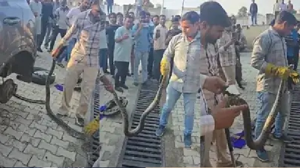 “ఏంటయ్యా తమ్మీ ఎవరు నువ్వు..?” కార్ టైర్లో చుట్టుకుని పడుకున్న కొండచిలువ.. కేకలు వేస్తూ పరుగులు తీసిన డ్రైవర్.. టైరు ఊడదీసి రక్షించిన అటవీశాఖ.. 2.5 గంటల పోరాటం..!!