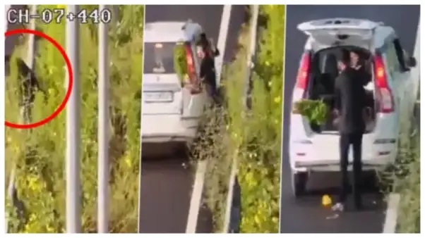 “చట్టాన్ని రక్షించే గుర్తుతోనే చట్టాన్ని ఉల్లంఘించిన వింత.. పోలీస్ కారులో పూల మొక్కల చోరీ!” – నెట్టింట కలకలం రేపుతున్న వైరల్ వీడియో..!!!