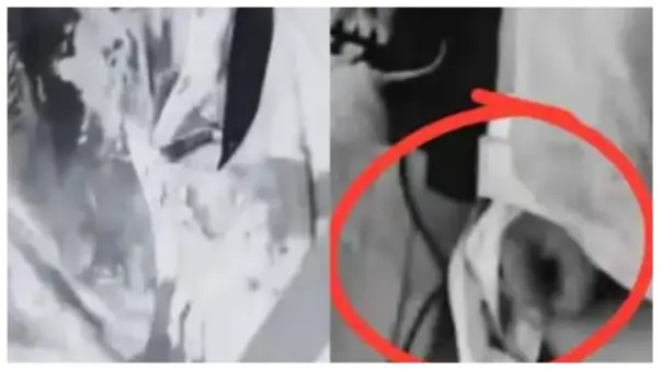 “గాల్లో ప్రాణాలతో చెలగాటమాడిన దుస్థితి!” – కో-పైలట్ నిర్వాకంతో గాల్లో నెలకొన్న మరణ భయం!.. చోటుచేసుకున్న ఉత్కంఠభరిత క్షణాలు..!!!