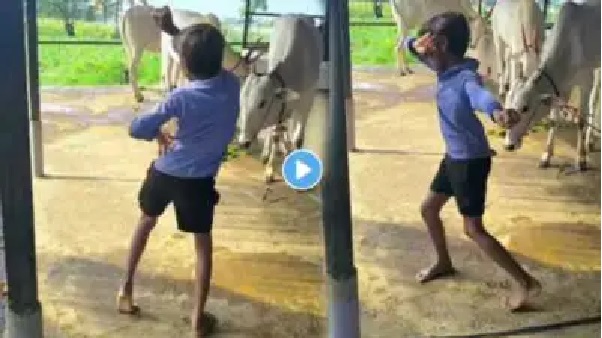 “తమ్ముడూ నీ లెవెల్ వేరు పో..!” చిన్న పిల్లోడి అసాధారణ ప్రతిభ.. ప్రశంసలతో ముంచెత్తుతున్న నెటిజన్లు.. పెద్ద పెద్ద డ్యాన్సర్లకే టఫ్ ఇచ్చేలా ఉన్నాడే.. నెట్టింటిని షేక్ చేస్తున్న డ్యాన్స్ వీడియో..!!