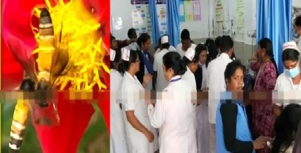 “ప్రశాంతంగా తిరగడానికి వచ్చిన చోట ఇలా జరగాలా?”.. చిన్నపిల్లల నుంచి పెద్దల వరకు 20 మందికి పైగా తేనెటీగలు కుట్టడంతో తీవ్ర కలకలం!